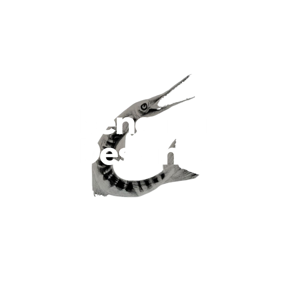 Bencava Designs